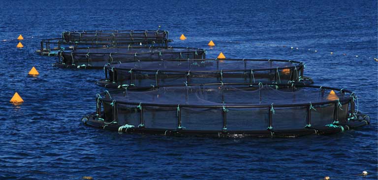 Making Aquaculture MA More Accessible