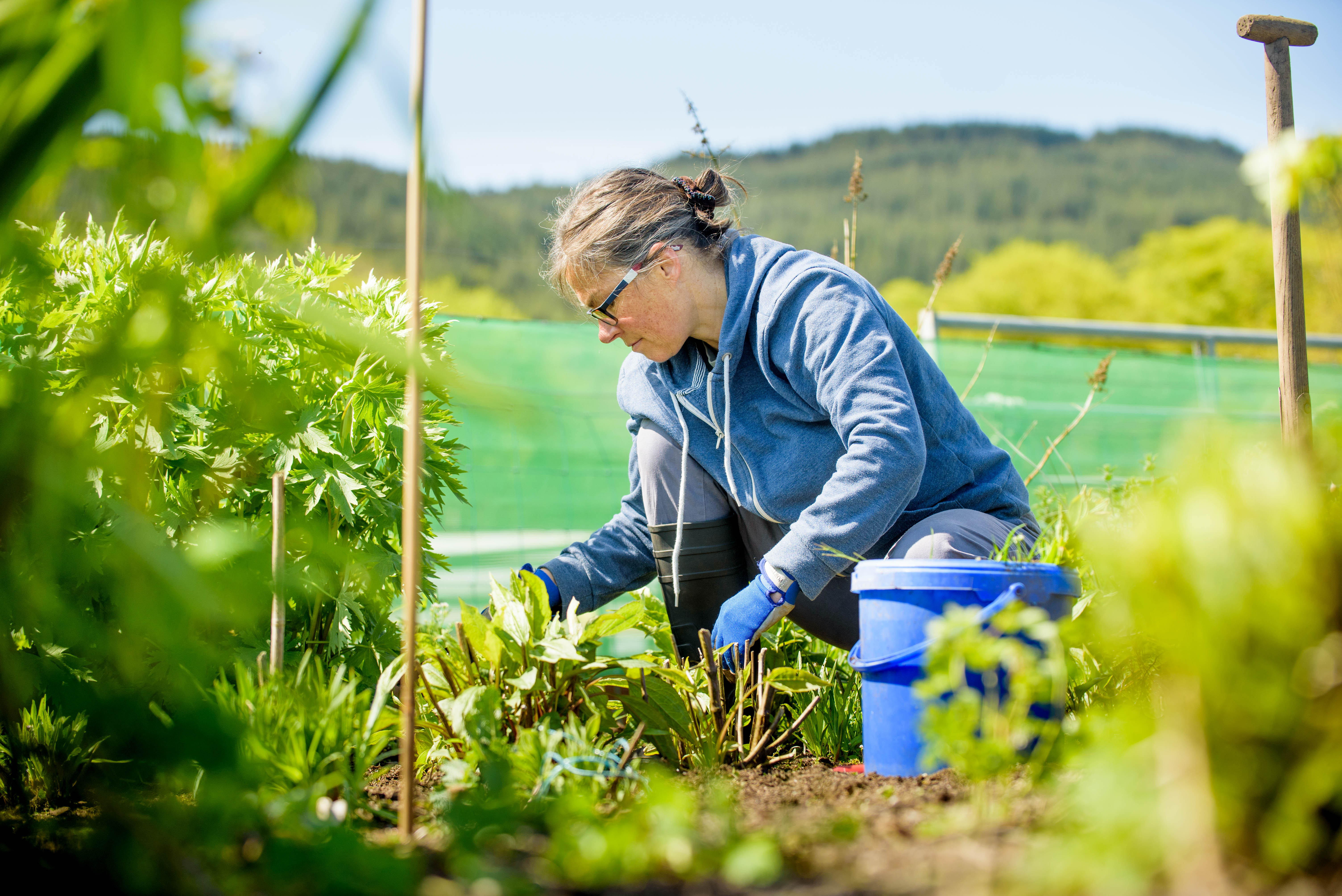 Argyll College UHI Awarded Horticulture Bursary 