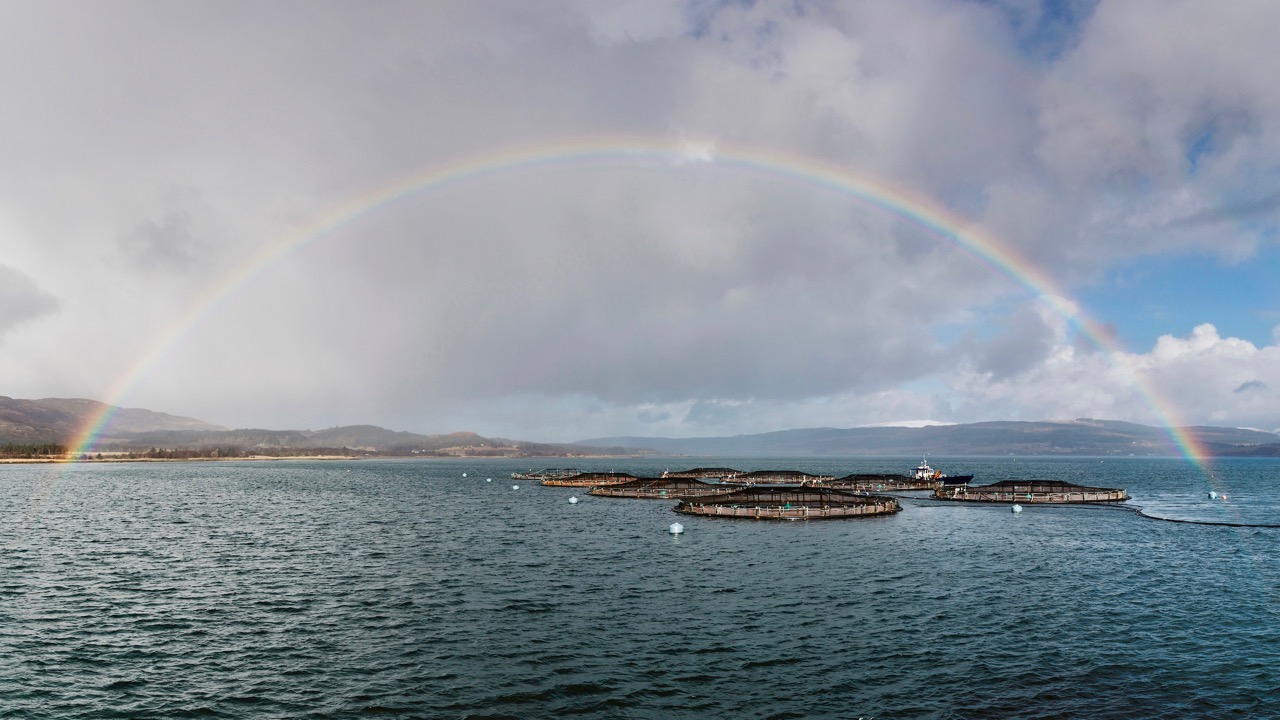 Apprenticeship Insight with Scottish Sea Farms