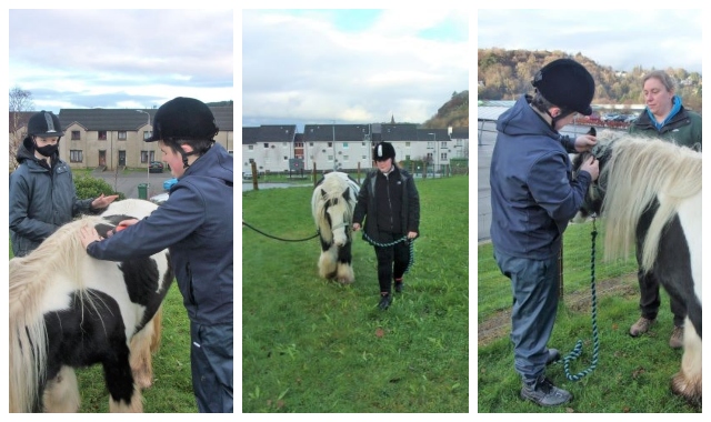 3 images showing students grooming, leading and putting a head collar on a pony