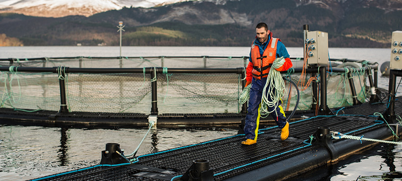 Man walking around a fish farm