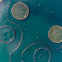 Aerial photo of fish farm in Scotland