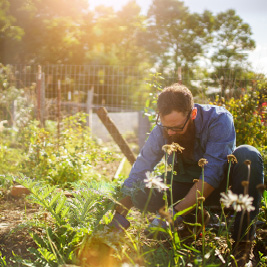 Student kneeling in garden planting