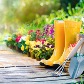 Yellow wellington boots in a garden